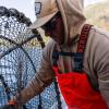 imageGrundens Mens Neptune Commercial Fishing Bib Pants  Waterproof AdjustableRefraction Camo Stone