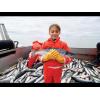 imageGrundns Little Boys Zenith 117 Fishing Bib PantsNavy