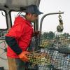 image:imageGrundns Mens Dreadnought Jacket  Waterproof amp Wind Resistant All Weather Commercial Fishing Jacket Medium DutyTurtle Grass