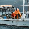 image:imageGrundns Mens Brigg 44 Fishing Parka Orange  Large Tall